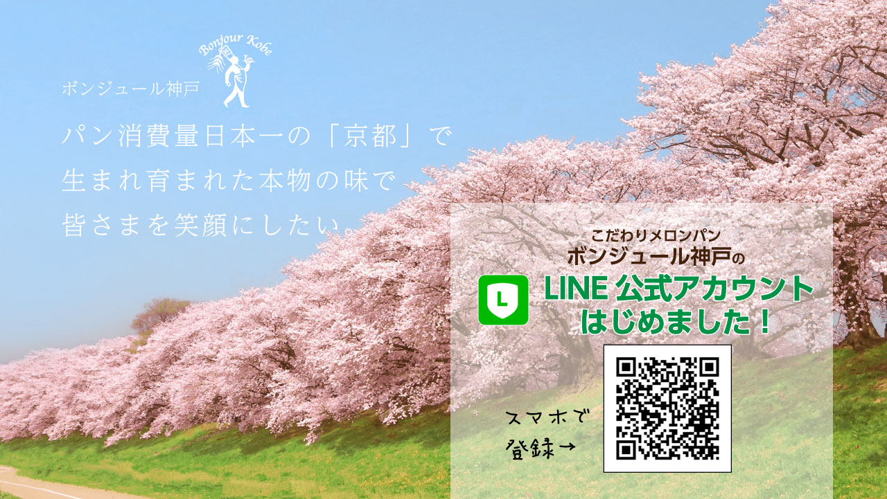 春の京都「鴨川と桜」