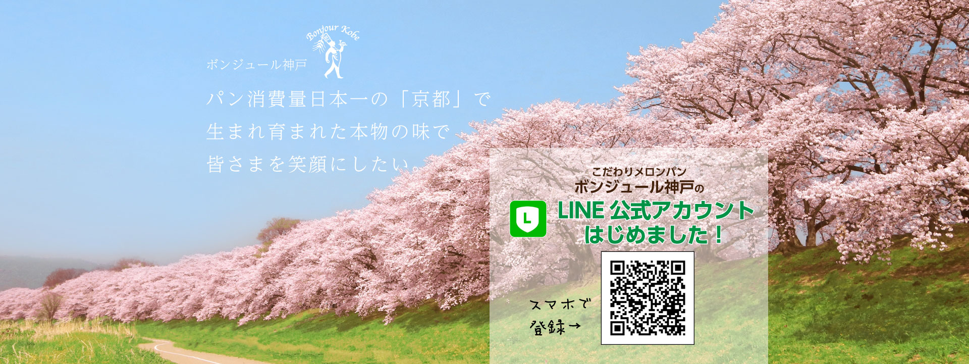 春の京都「鴨川と桜」